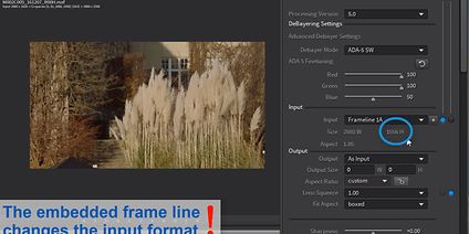 ARRI Tech Tip: How to apply a frame line in ARC - Thumbnail