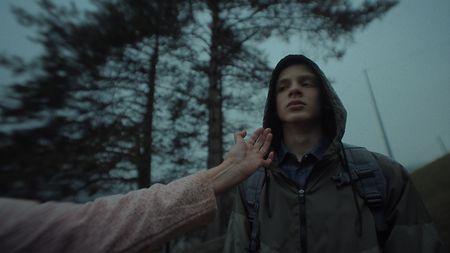 Con Impression V Filter 230P, Di Nicola ha dato a questa inquadratura dell’albero una qualità visiva più intensa e particolare