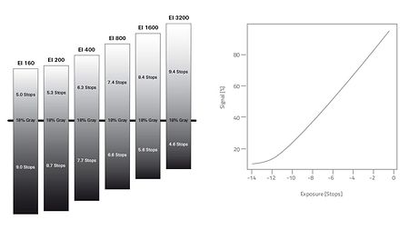 six gray gradients illustrating exposure range of ALEV3 sensor; distribution of stops