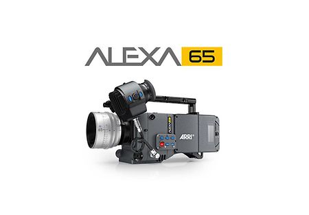 alexa-65-logo-pos-color-grey70-08
