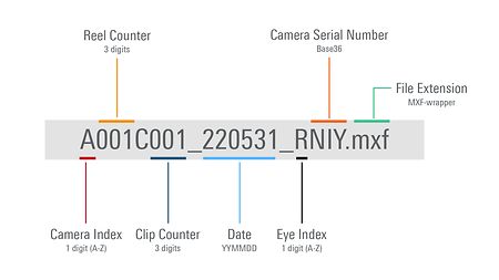 Infographic describing the parts of the clip name of an ALEXA 35 original camera negative