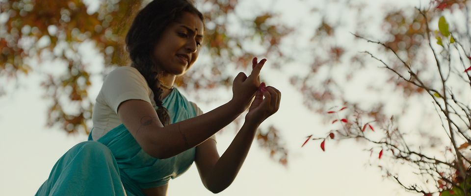 ARRI Impression V复古系列后置滤镜 "印象派 "印度舞蹈女演员身着纱丽，背景是树枝