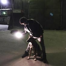 "Space Dogs" - behind the scenes